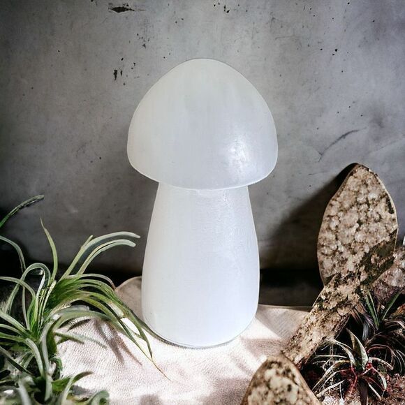 Selenite Crystal Mushroom Carving‎ - Picture 1 of 12